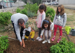 Uprawianie szkolnego ogródka przez uczniów.
