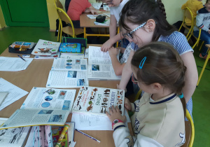 Uczniowie wyszukują w książkach ciekawe wiadomości na temat Antarktydy.