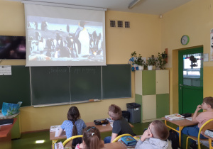 Uczniowie ogladają filmy popularnonaukowe o tematyce związanej z Antarktydą.
