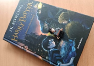 Zdjęcie jednej z książki o Harrym Potterze.